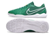 Футзалки Nike Tiempo Legend 10 TF, 39, IC футзальная, Гладкая, зальная поверхность
