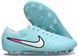Бутси Nike Tiempo Legend 10 FG, 39, FG копочки, Натуральний газон