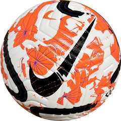 Футбольний м'яч Nike PL FA23